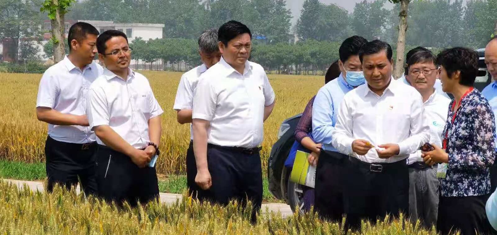 环亚集团官网