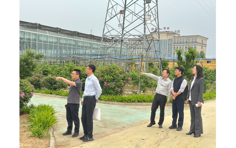 河北证监局监管处辅导莅临环亚集团官网发展例行走访调研，，，领导公司高质量发展