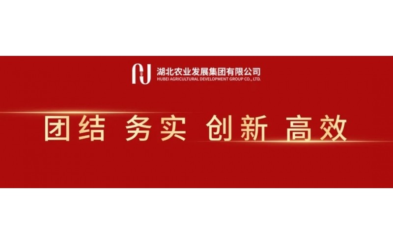 湖北农发集团召开党委（扩大）会 通报贯彻全省集中整治违规吃喝带头部署会心灵