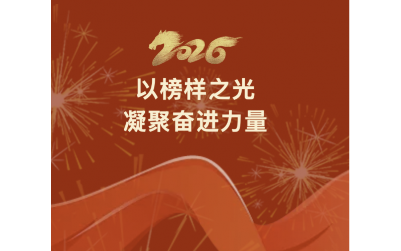 以楷模之光凝聚奋进力量 - 湖北农发集团赞美2025年度先进集体和先进小我①